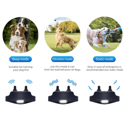 Rechargeable Dog Training Collar & Easy Remote Control