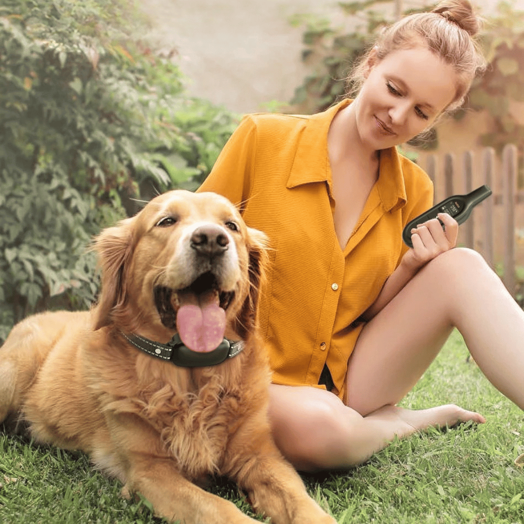 Effective Dog Training Collar & Remote Control