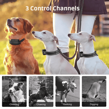 Effective Dog Training Collar & Remote Control