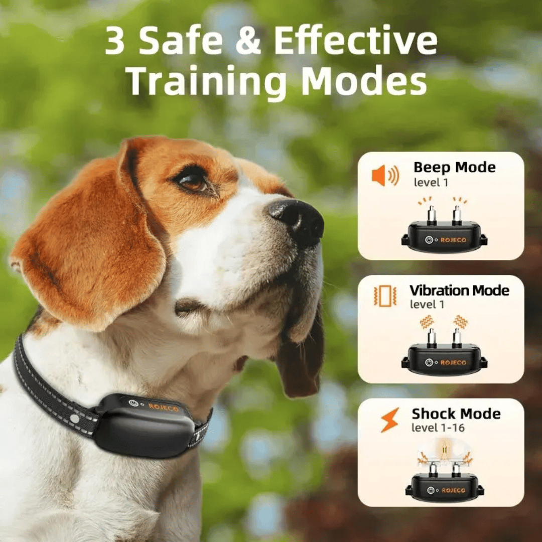 Effective Dog Training Collar & Remote Control