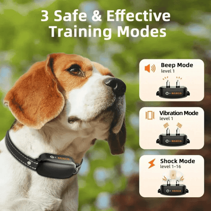 Effective Dog Training Collar & Remote Control