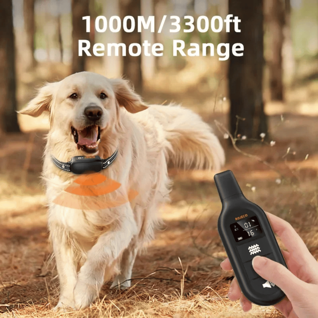 Effective Dog Training Collar & Remote Control