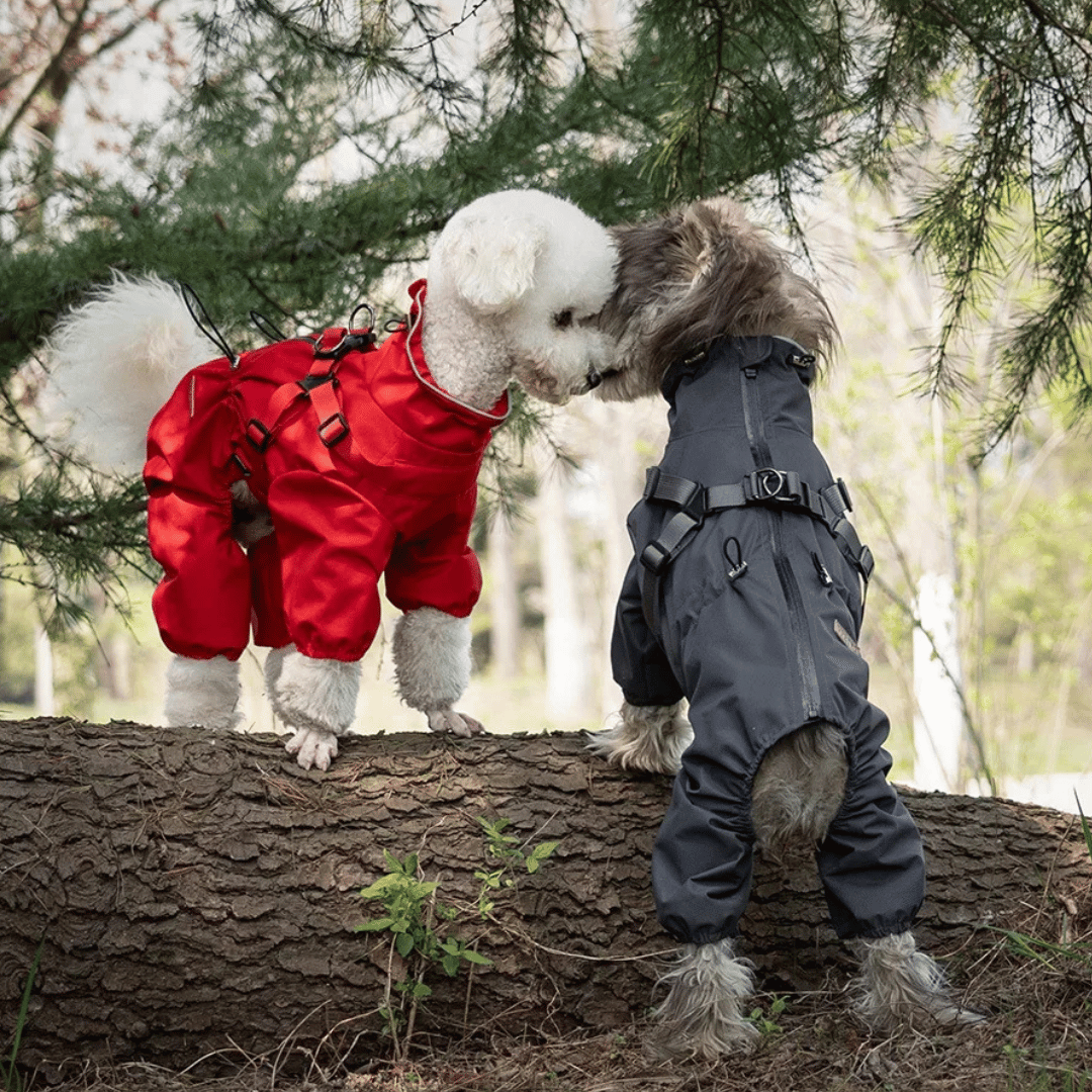 Waterproof Pet Coat with Built-In Dog Harness