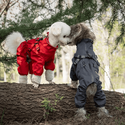 Waterproof Pet Coat with Built-In Dog Harness