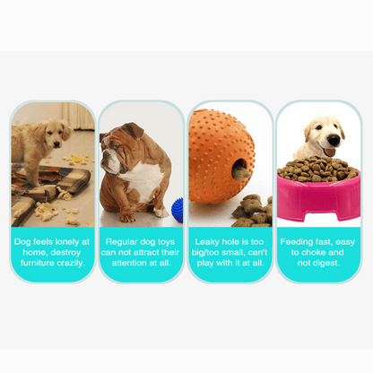 Fun Puzzle Dog Toy for Healthy Slow Eating