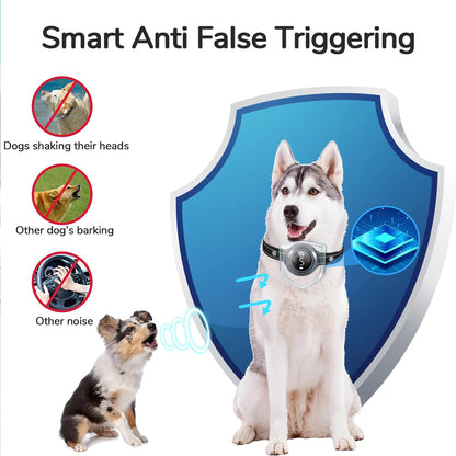 Rechargeable 2-in-1 Dog Training Collar & Anti Bark Device