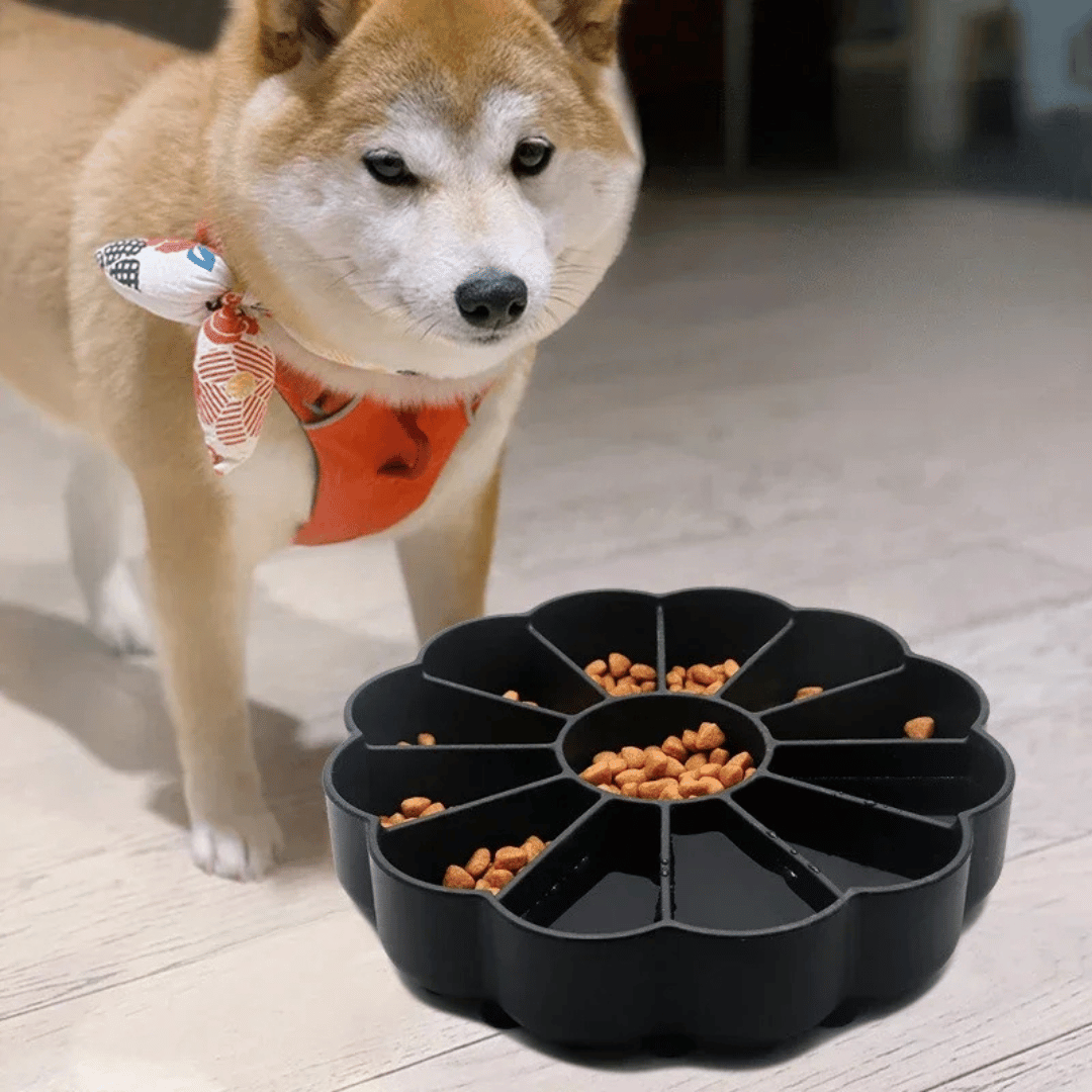 Interactive Dog Food Bowl with Non Slip Base