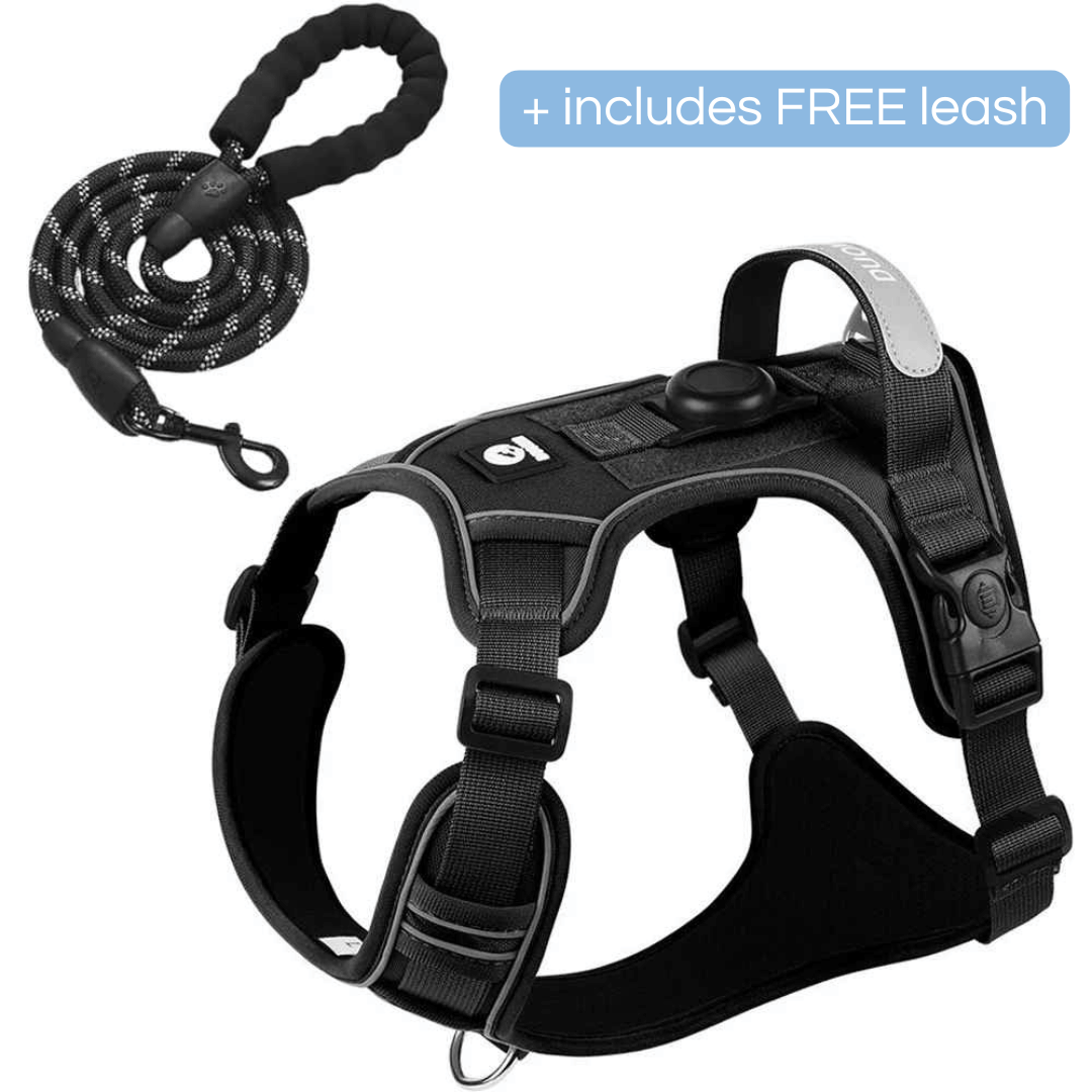 Durable Padded Dog Harness with Leash Clip and ID Holder