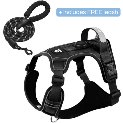 Durable Padded Dog Harness with Leash Clip and ID Holder