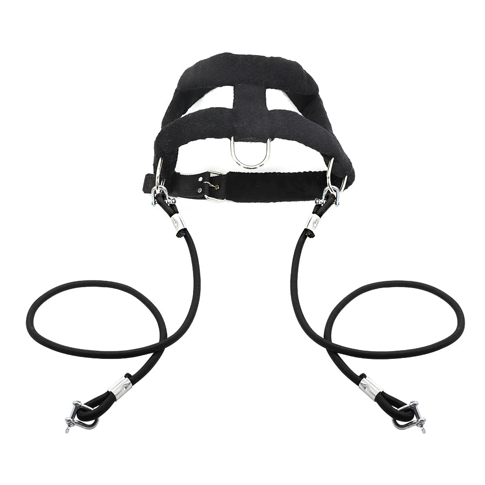 Tough Dog Pulling Harness with Padded Support