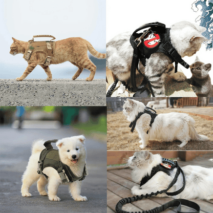 Durable Outdoor Cat Vest & Leash