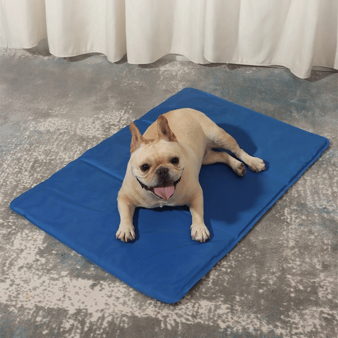 Cooling Pet Mat for Dogs | Waterproof Summer Pad