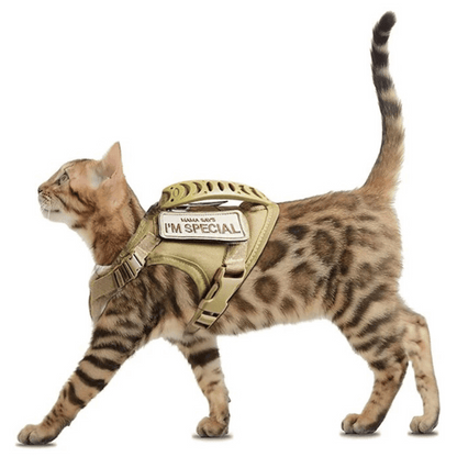 Durable Outdoor Cat Vest & Leash
