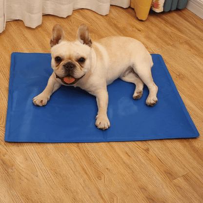 Cooling Pet Mat for Dogs | Waterproof Summer Pad
