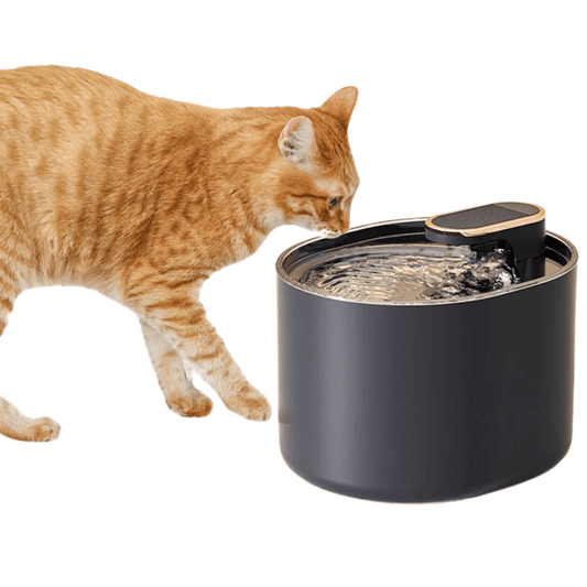 Quiet Pet Water Fountain with Motion Sensor & Night Light - LifyPet