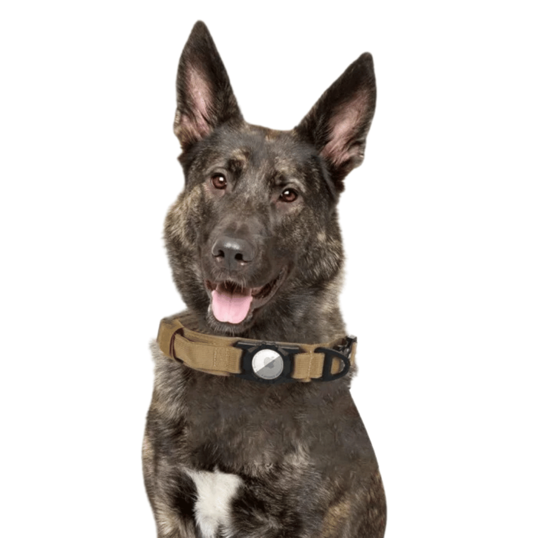 Durable Tactical Dog Collar with AirTag Holder