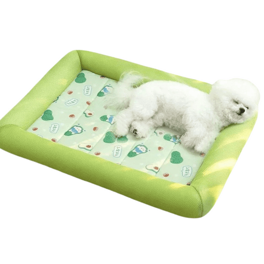 Cooling Pet Bed for Hot Summer Days - LifyPet