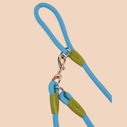 Durable Padded Leash for Running and Big Dogs