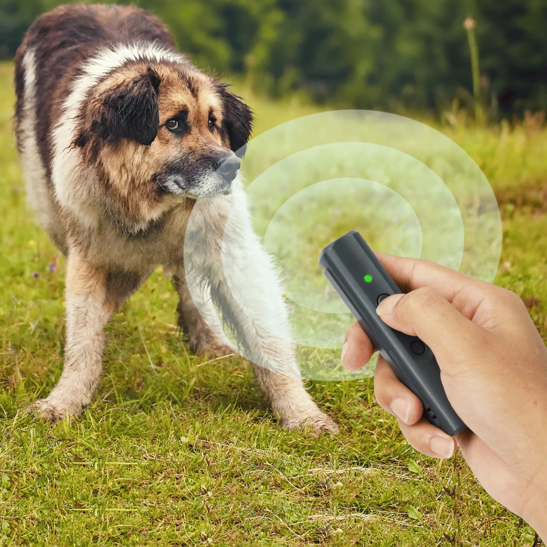 Compact Anti Bark Device with LED Light & Sound