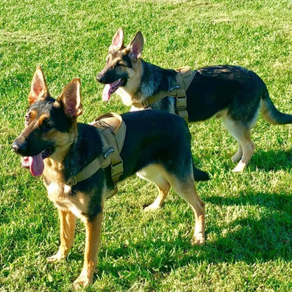 Comfortable Large Dog Harness with Padded Vest