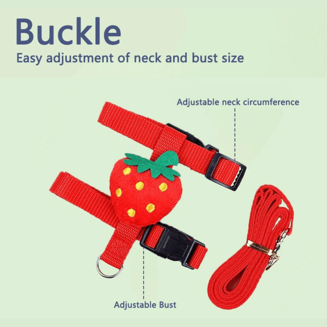 Comfortable Bunny Harness and Leash Set