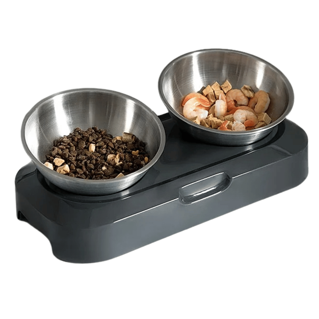 Adjustable Pet Feeder with Stainless Steel Food Bowls - LifyPet