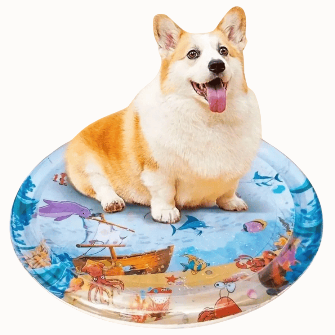 Soft Inflatable Pet Water Bed Mat