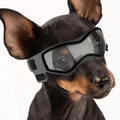 Pet Dog Shades for Small Breeds Protection