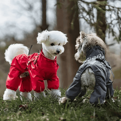 Waterproof Pet Coat with Built-In Dog Harness