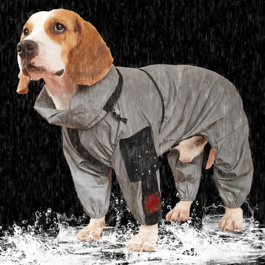 Waterproof Dog Rain Jacket with Adjustable Hood