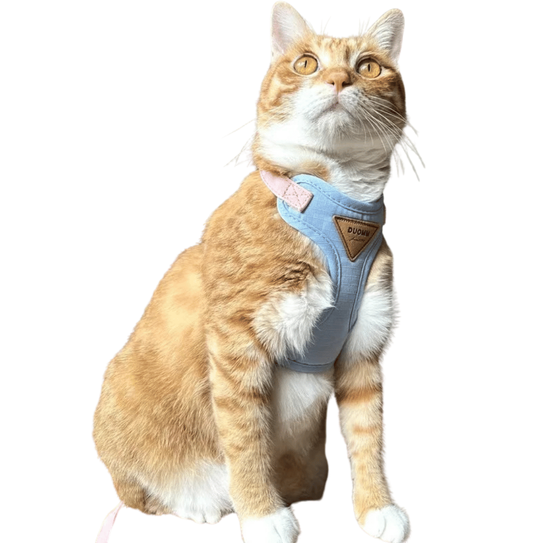 Soft Purrfect Cat Harness Leash Set