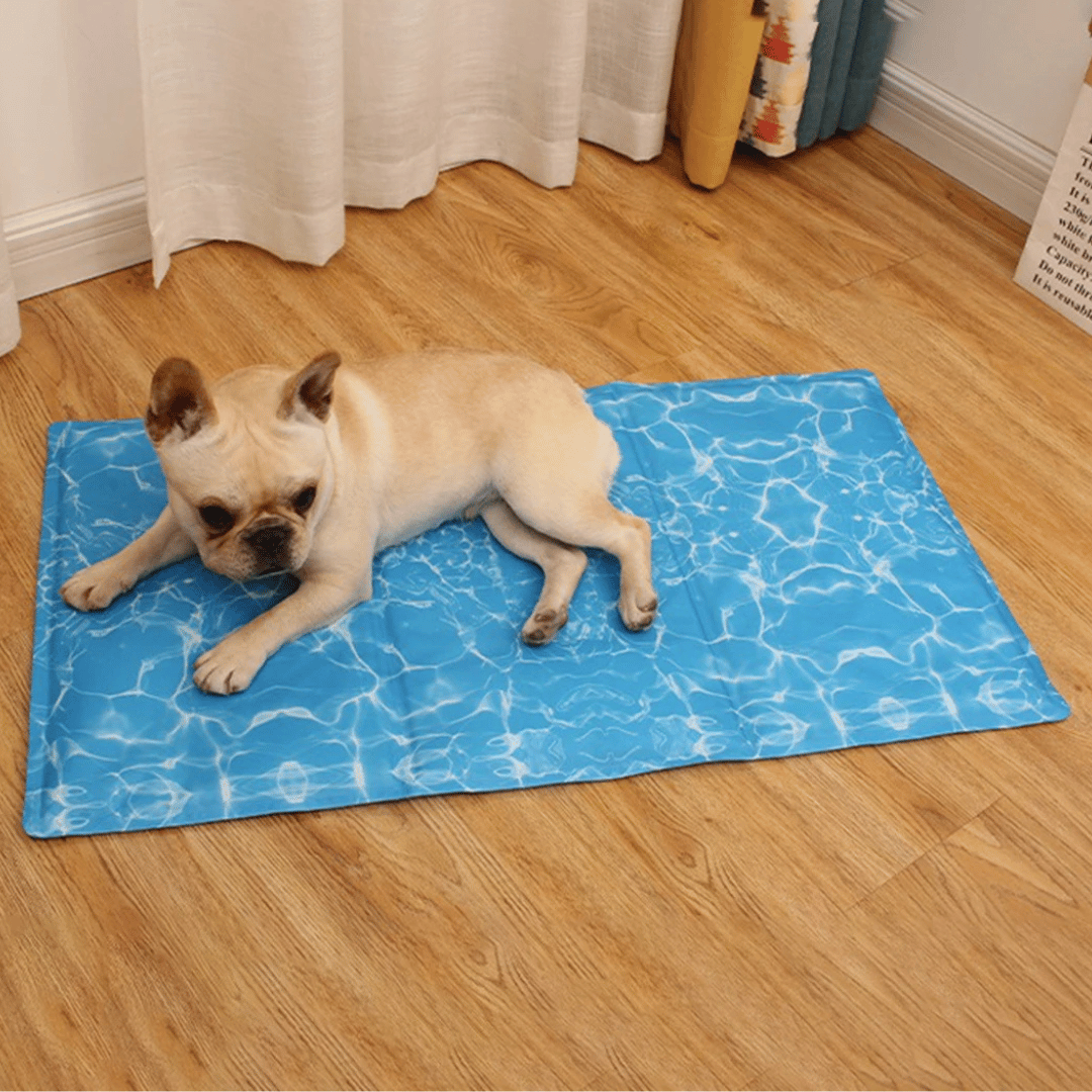 Cooling Pet Mat for Dogs | Waterproof Summer Pad