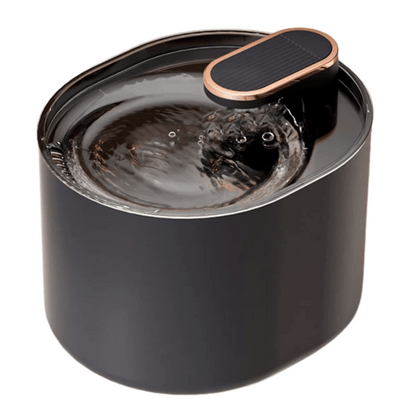 Quiet Pet Water Fountain with Motion Sensor & Night Light