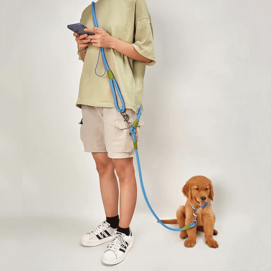 Durable Padded Leash for Running and Big Dogs - LifyPet