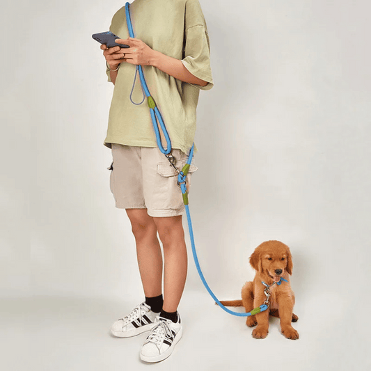 Durable Padded Leash for Running and Big Dogs - LifyPet