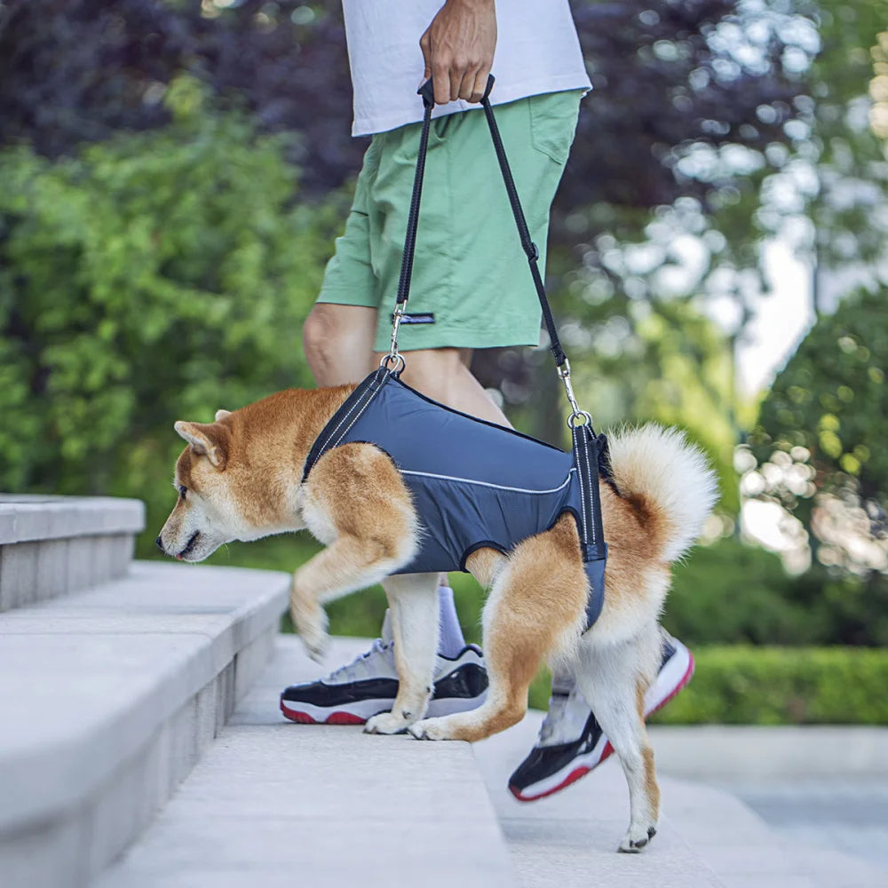 Comfortable Support Harness for Senior Dogs