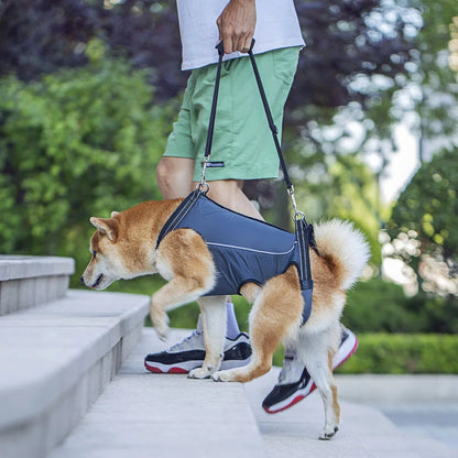 Comfortable Support Harness for Senior Dogs