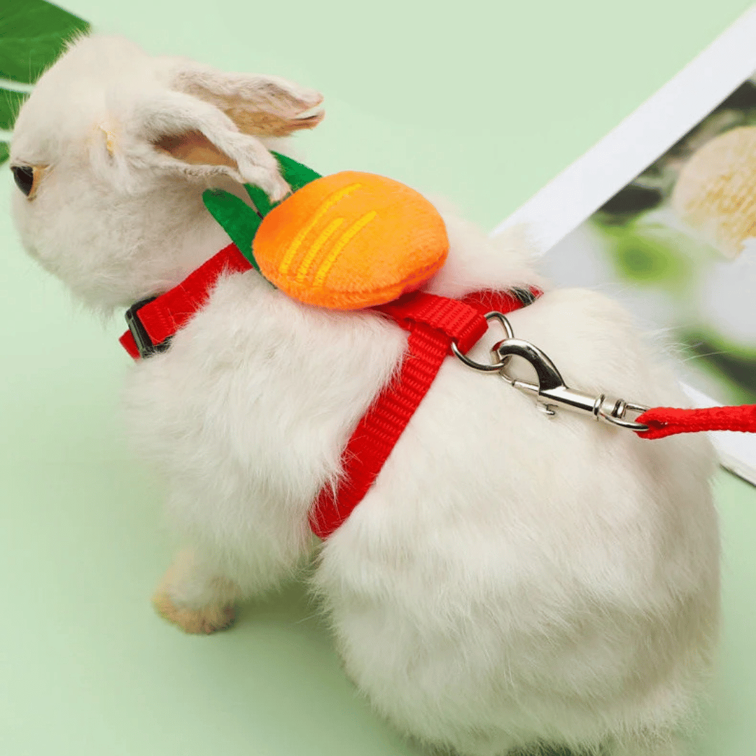 Comfortable Bunny Harness and Leash Set