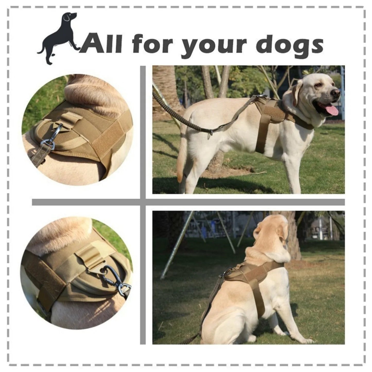 Comfortable Large Dog Harness with Padded Vest