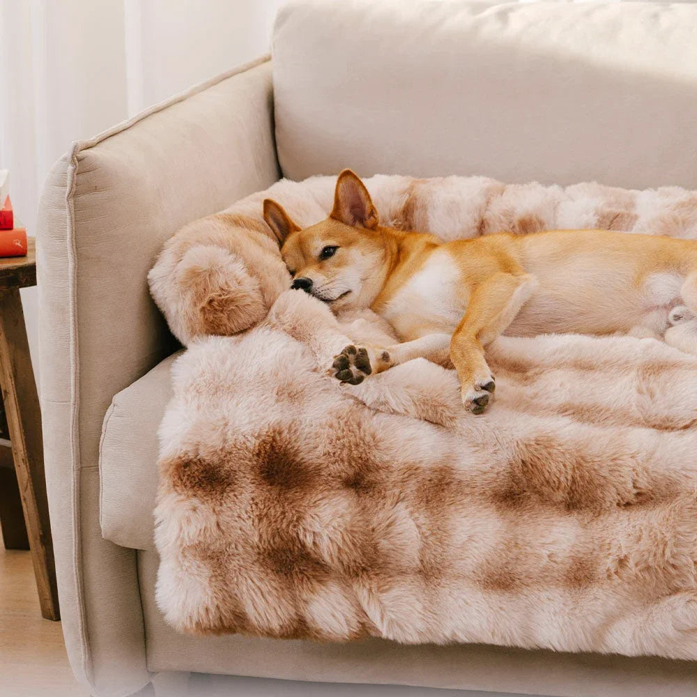 Plush Pet Sofa Cover with Pillow for Small Dogs Cats