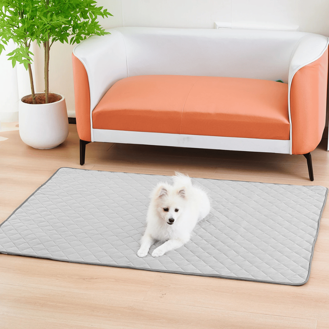 Calm Pet Bed Mat for Dogs and Cats