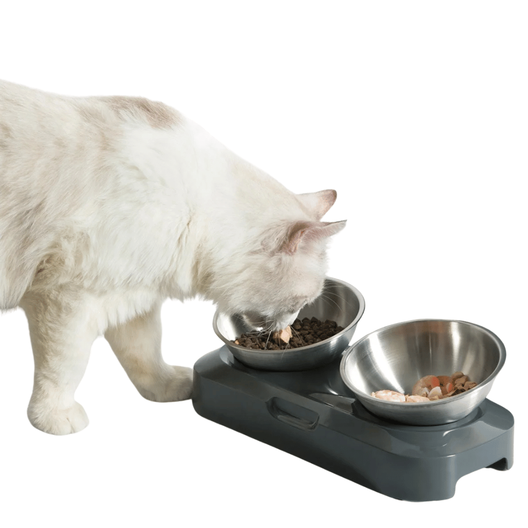 Adjustable Pet Feeder with Stainless Steel Food Bowls