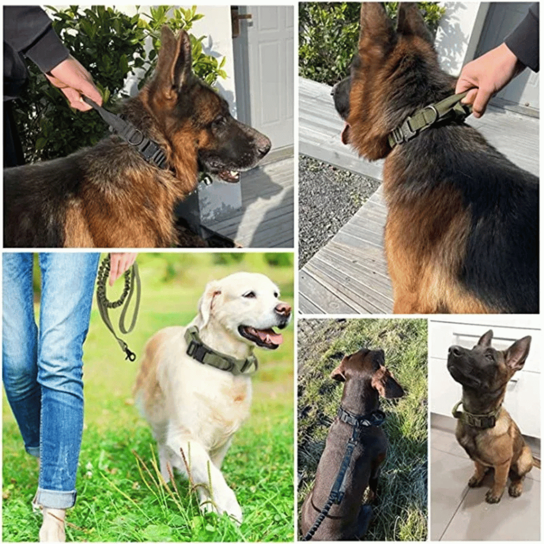 Strong Tactical Dog Collar and Leash Set for Big Dogs