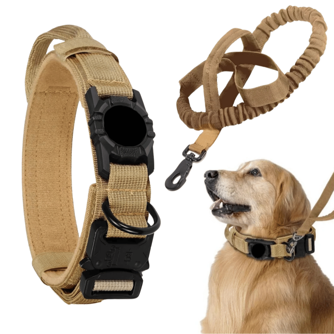 Durable Outdoor Pet AirTag Collar & Leash Set