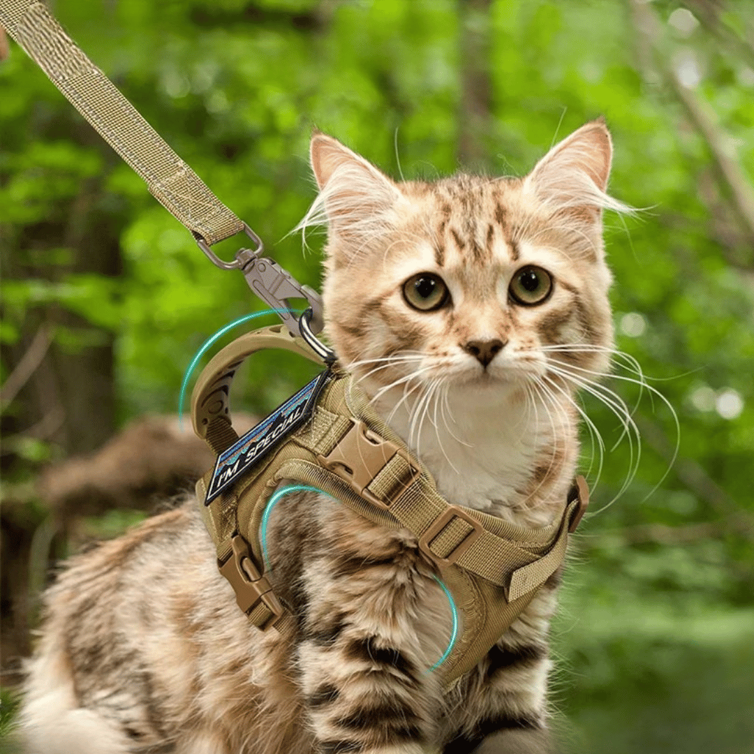 Durable Outdoor Cat Vest & Leash