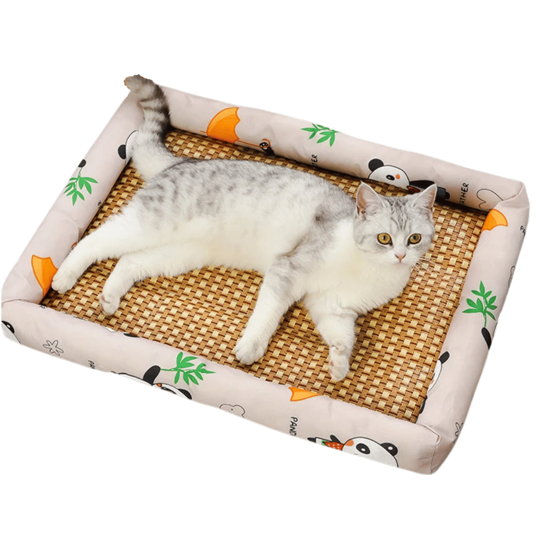 Comfy Wicker Pet Bed for Dogs and Cats