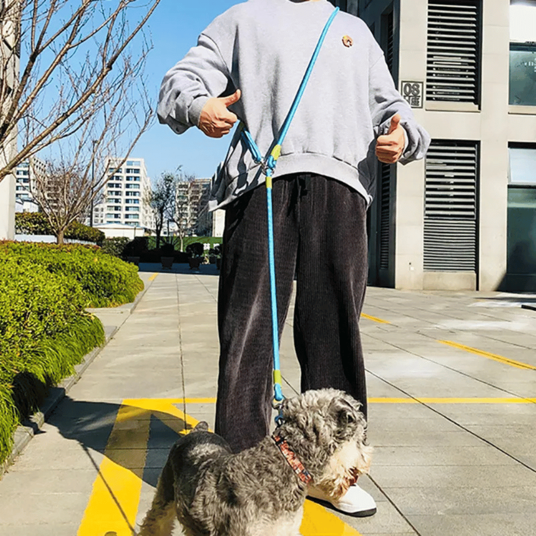 Durable Padded Leash for Running and Big Dogs