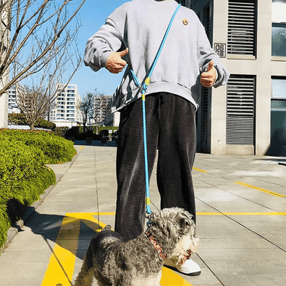 Durable Padded Leash for Running and Big Dogs