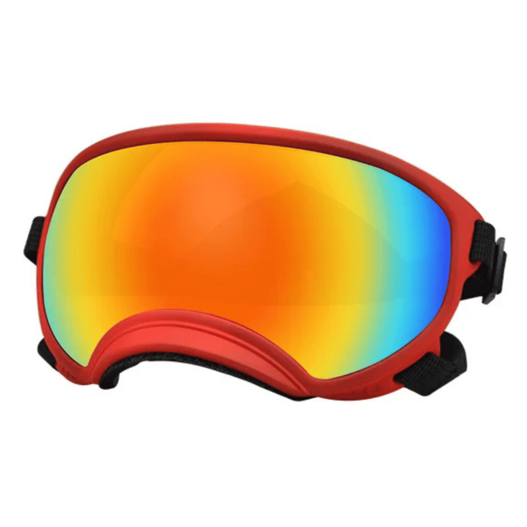 Trendy Pet Shades | Waterproof Dog Sun Glasses