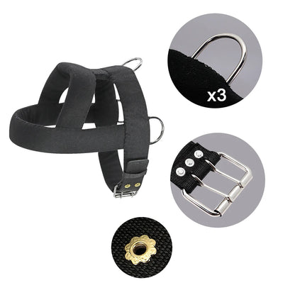 Tough Dog Pulling Harness with Padded Support